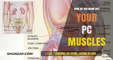 Mastering PC Muscle Workouts: Effective Techniques for Strength and Control