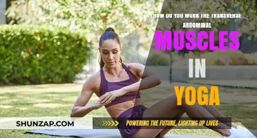 Engage Your Core: Yoga Techniques to Strengthen Transverse Abdominal Muscles