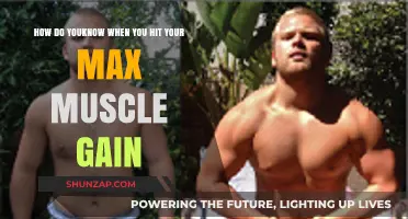 Recognizing Your Peak: Signs You've Reached Maximum Muscle Gain Potential