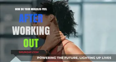 Post-Workout Muscle Sensations: Understanding Soreness, Fatigue, and Recovery