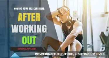 Muscle Recovery Unveiled: How Your Body Heals Post-Workout
