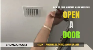 Muscle Mechanics: Unlocking the Door to Your Body's Strength
