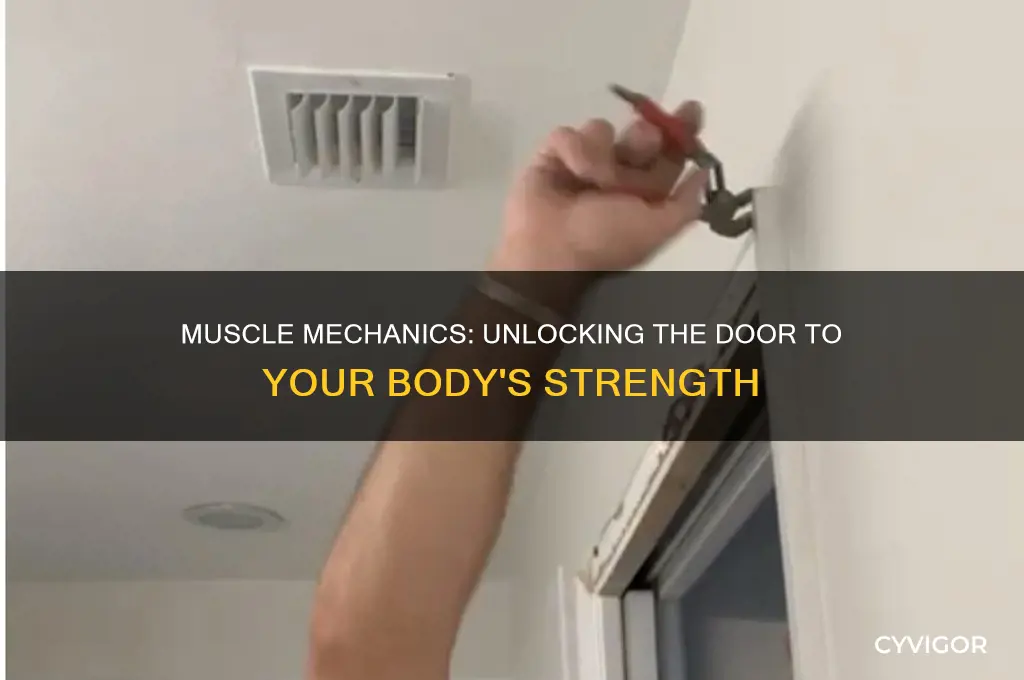 how do your muscles work when you open a door