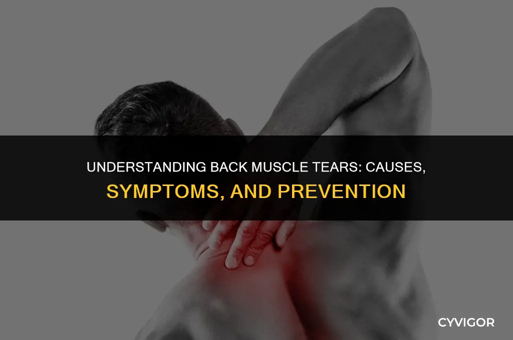 how does a back muscle tear occur