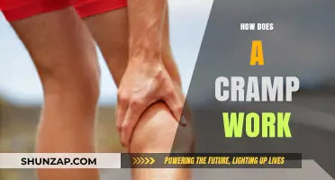 Understanding Muscle Cramps: Causes, Mechanisms, and Relief Strategies Explained