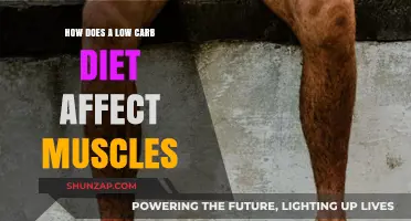The Impact of Low Carb Diets on Muscle Health and Performance