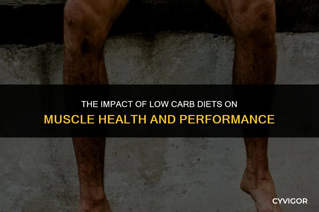 how does a low carb diet affect muscles