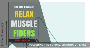 Unwinding Tension: How Massage Therapy Relaxes Muscle Fibers Effectively