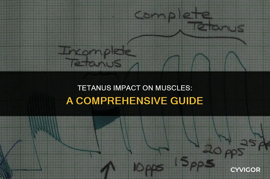 how does a muscle get affected by tetnis