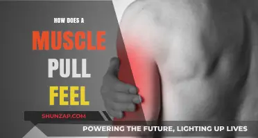 Understanding the Pain and Sensations of a Pulled Muscle