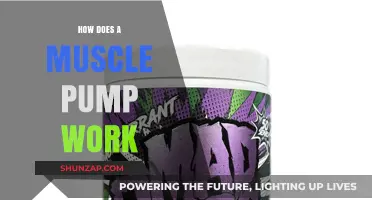 Understanding the Science Behind Muscle Pumps and Their Benefits