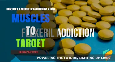 How Muscle Relaxers Identify and Target Specific Muscles for Relief