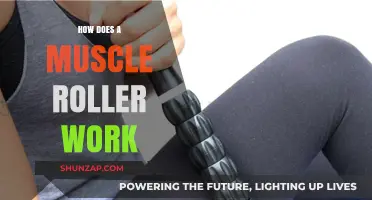 Unraveling the Science: How Muscle Rollers Relieve Pain and Tension