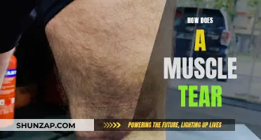 Understanding Muscle Tears: Causes and Prevention
