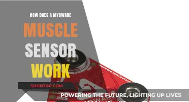 Understanding MyoWare Muscle Sensors: Functionality and Practical Applications