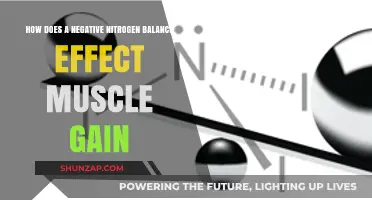 Negative Nitrogen Balance: Hindering Muscle Gain and Recovery Explained