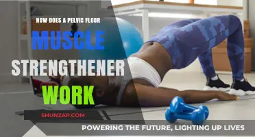 How Pelvic Floor Muscle Strengtheners Work: A Comprehensive Guide