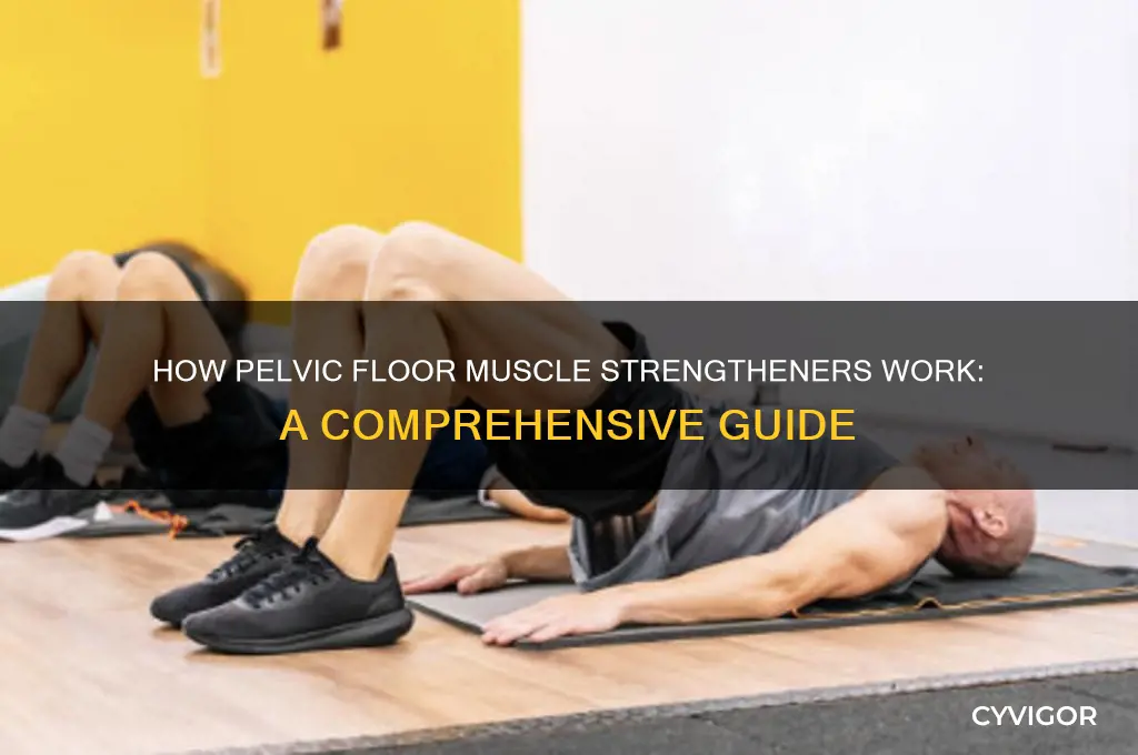 how does a pelvic floor muscle strengthener work