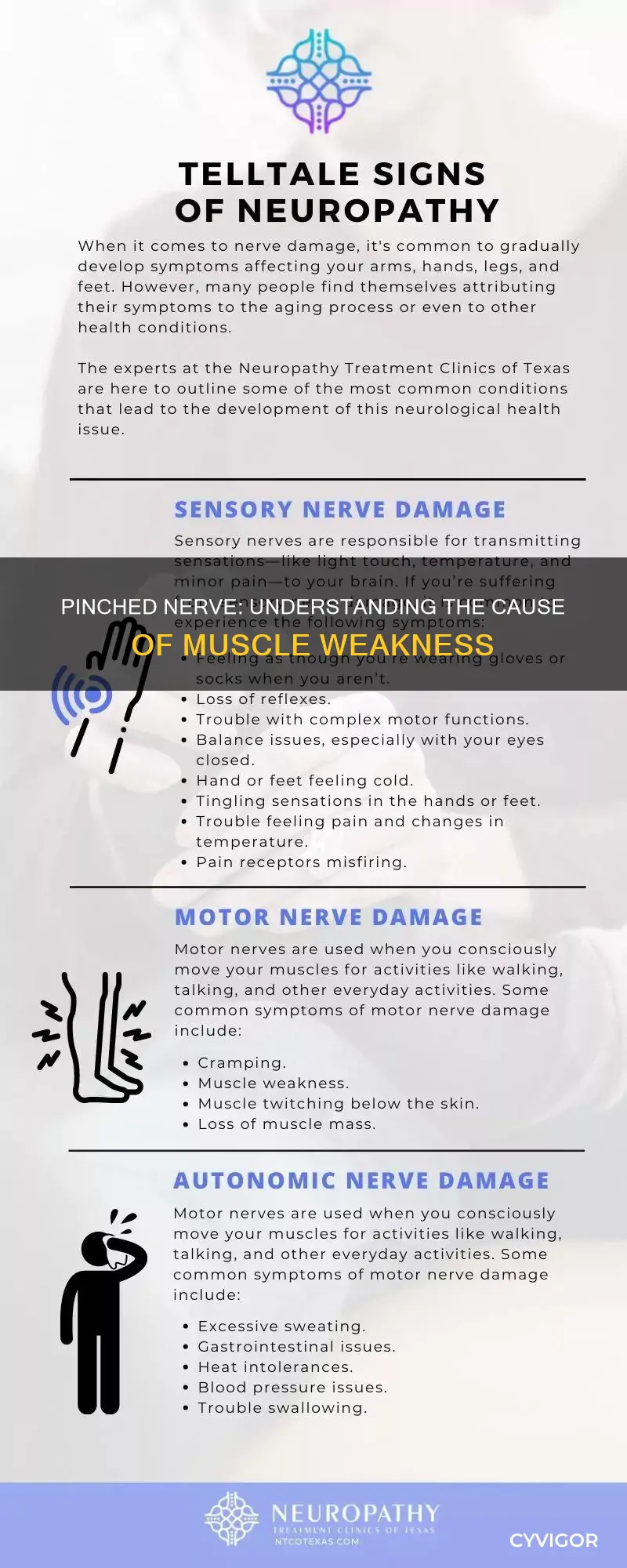 how does a pinched nerve cause muscle weakness