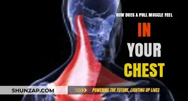 Understanding Chest Muscle Pulls: Symptoms, Causes, and Relief Tips