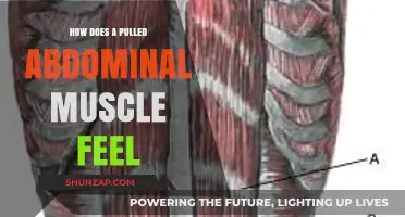 Pulled Abdominal Muscle: Symptoms, Pain, and Recovery Explained