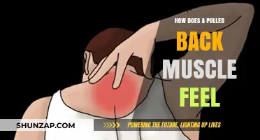 Understanding the Pain and Symptoms of a Pulled Back Muscle