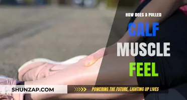 Pulled Calf Muscle: Symptoms, Pain, and Recovery Insights
