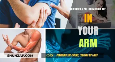 Understanding Arm Muscle Pulls: Symptoms, Pain, and Recovery Insights