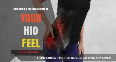 Understanding the Pain and Recovery of a Pulled Hip Flexor Muscle