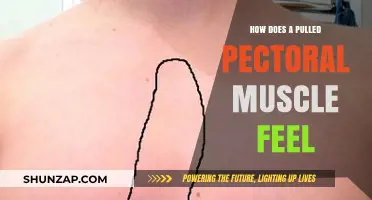 Pulled Pectoral Muscle: Symptoms, Pain, and Recovery Explained