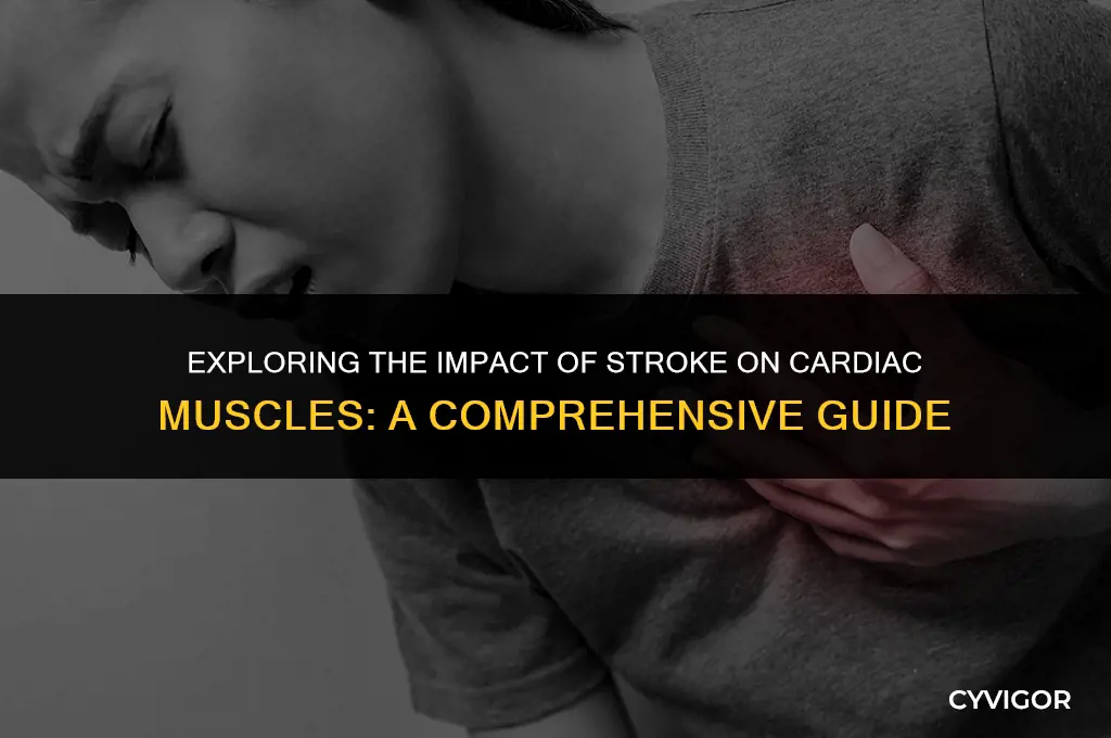 how does a stroke affect cardiac muscles