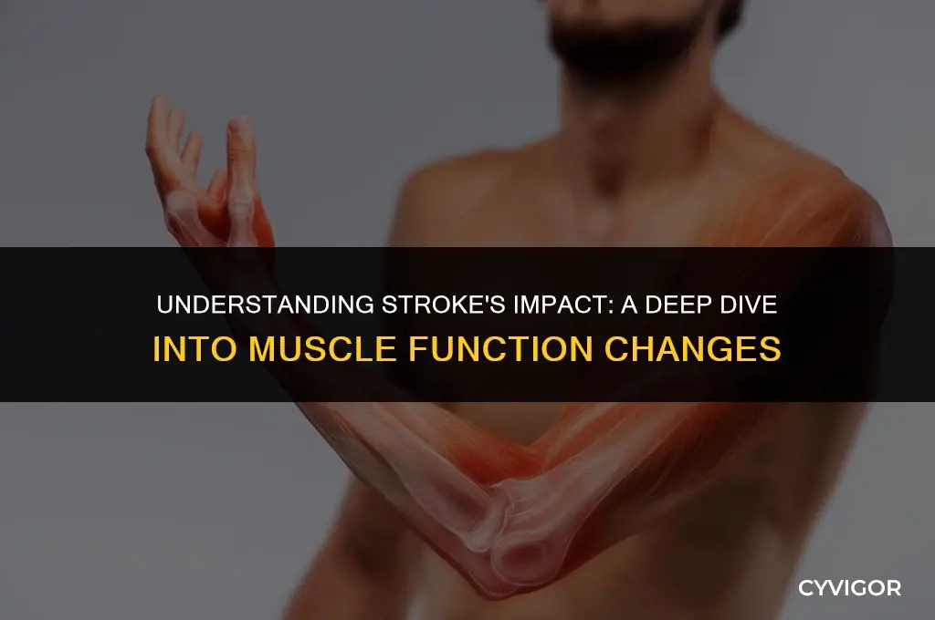 how does a stroke affect muscle funtion