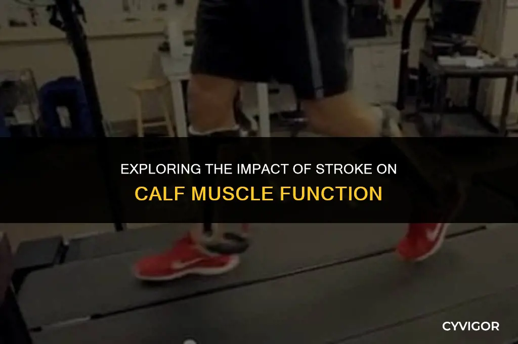 how does a stroke affect the calf muscle