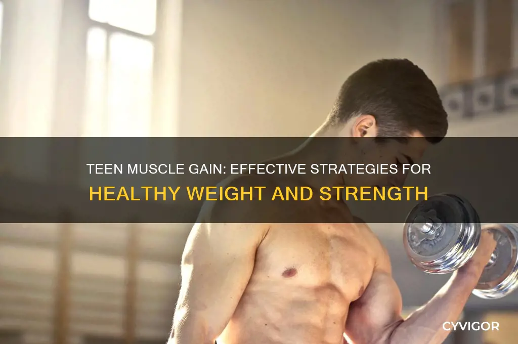 how does a teenager gain muscle weight