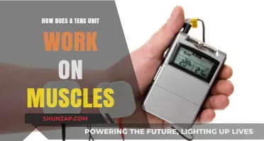 How TENS Units Stimulate Muscles: Mechanism and Benefits Explained