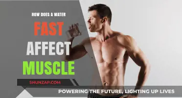 Exploring the Impact of Water Fasting on Muscle Health and Performance