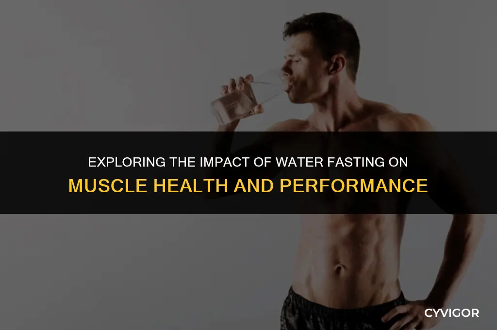 how does a water fast affect muscle