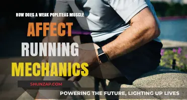 Impact of Weak Popliteus Muscle on Running Mechanics: A Comprehensive Guide