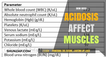 Unraveling the Impact of Acidosis on Muscle Function and Health
