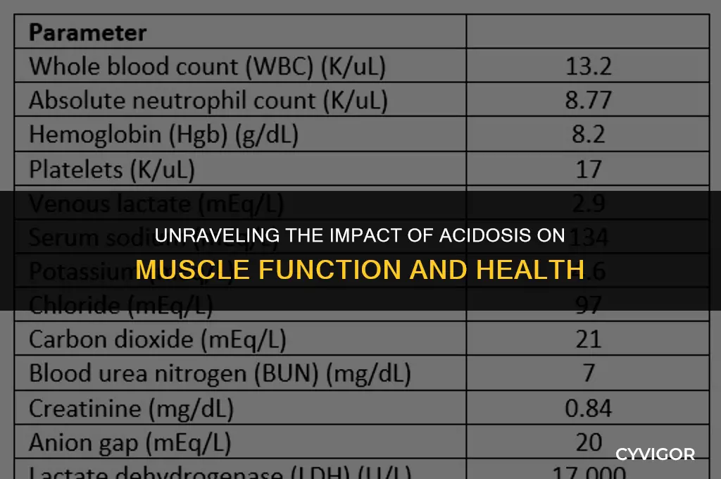 how does acidosis affect muscles