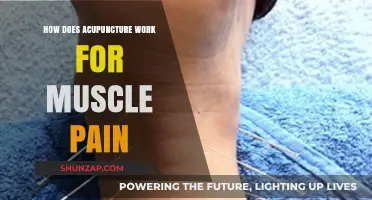 Acupuncture for Muscle Pain: Unlocking Natural Relief and Healing Mechanisms