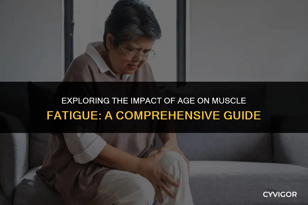 how does age affect muscle fatigue