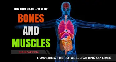 Unveiling the Impact: Alcohol's Effects on Bones and Muscles