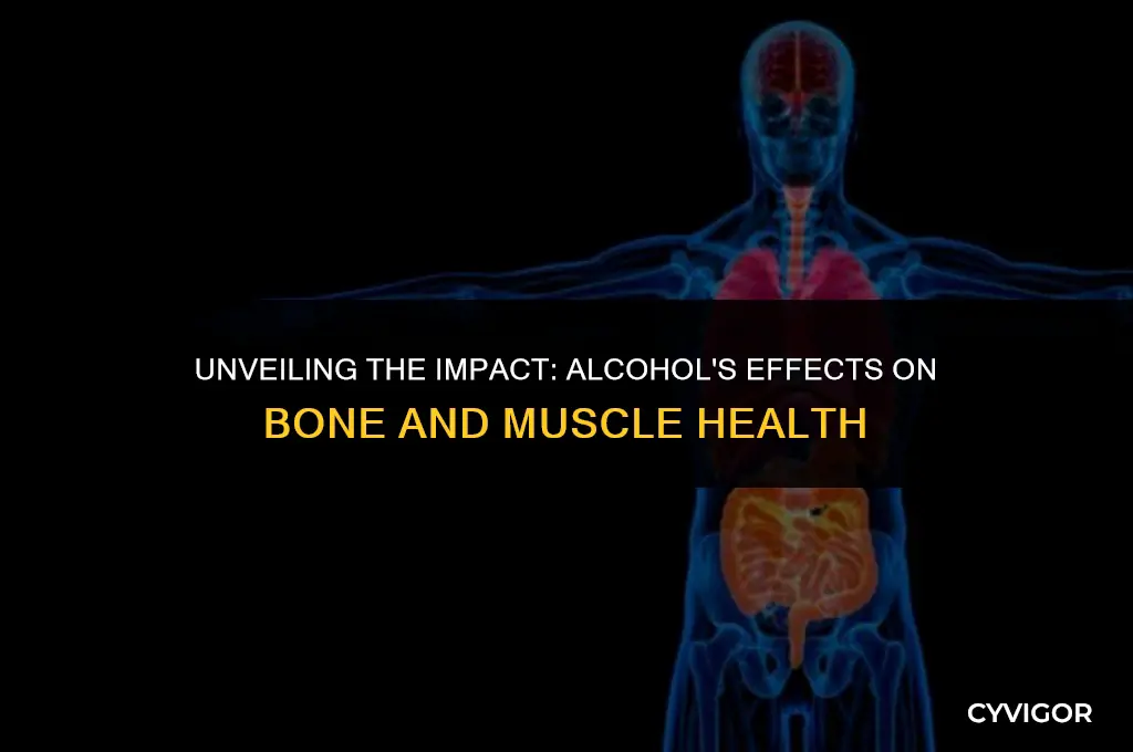 how does alcohol affect bones and muscles