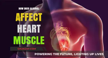 The Impact of Alcohol on Heart Muscle: A Comprehensive Guide
