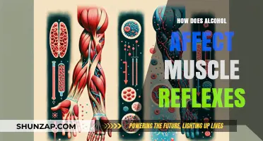 Unveiling the Impact: Alcohol's Influence on Muscle Reflexes Explored