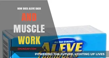 Understanding Aleve Back & Muscle: How It Relieves Pain and Works