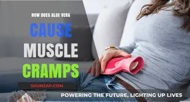 Aloe Vera: Muscle Cramp Triggers