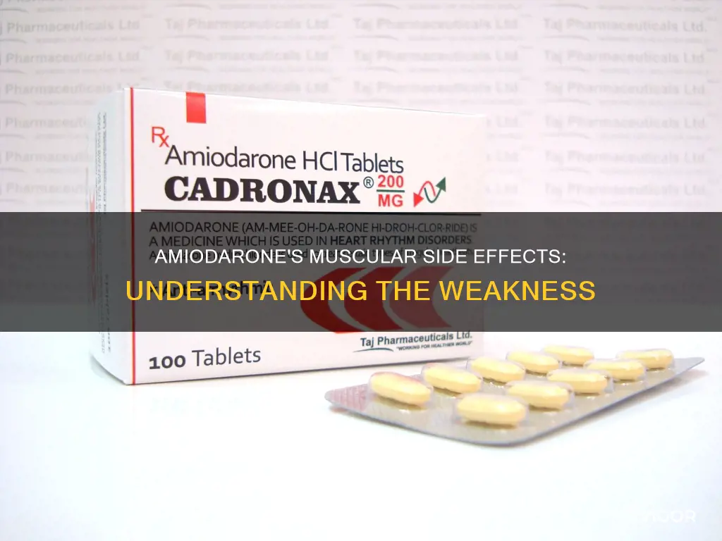 how does amiodarone cause muscle weakness