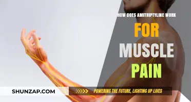 Amitriptyline's Mechanism: Relieving Muscle Pain Through Nerve Signaling